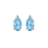 EARRINGS  BR 0.04